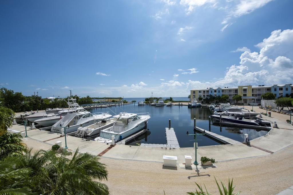 Licensed Mgr - Modern 3/3.5 Villa - Key Largo'S Most Upscale Oceanfront Resort! Eksteriør bilde